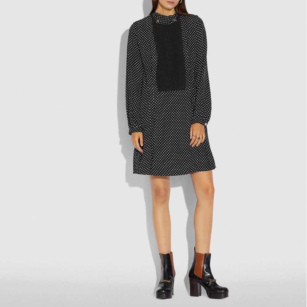 NWT Coach Dot Pleated Bib Dress
